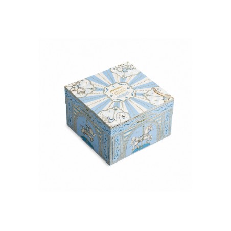 MAXTRIS BABY DOLCE ARRIVO AZZURRO 500GR