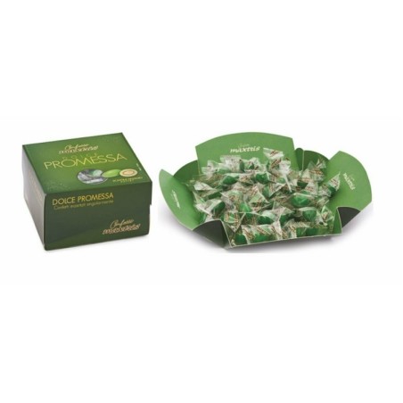 MAXTRIS DOLCE PROMESSA 500GR