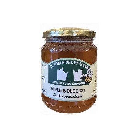 MIELE FIORDALISO BIO 500GR