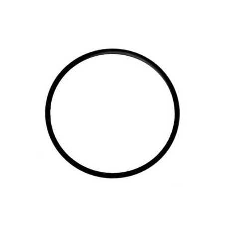 GUARNIZIONE CALDAIA FROG GRANDE